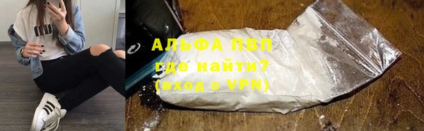 СК Алексин