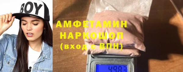 СК Алексин