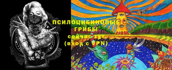 а пвп мука Алзамай