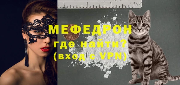 СК Алексин